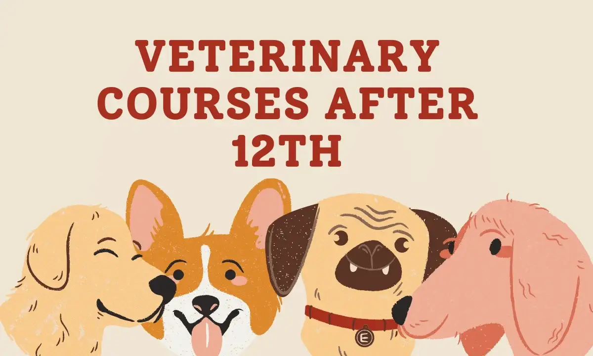 Veterinary Courses After 12th in 2024 | Without NEET, Admission, College, Jobs